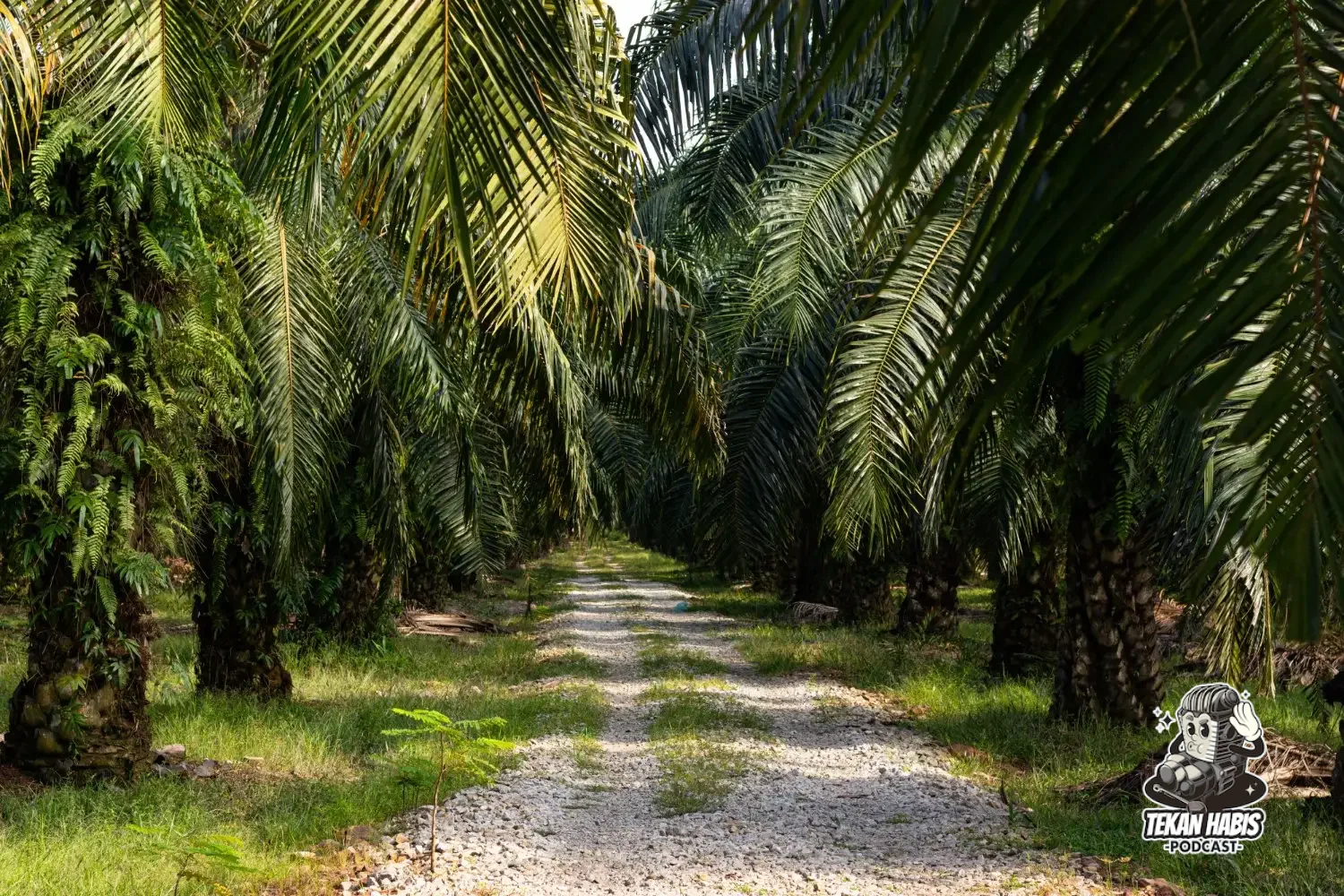 Gambar hiasan
